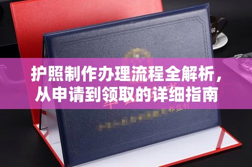 泸西护照制作办理流程全解析，从申请到领取的详细指南